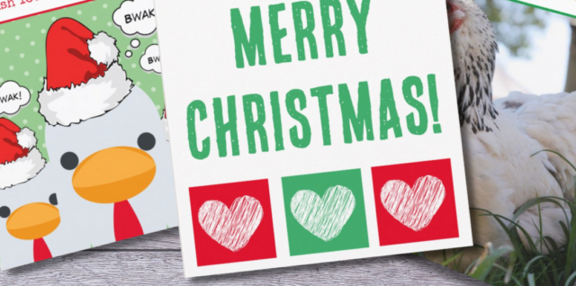 Cute Custom Chistmas Cards Blog Post Pic